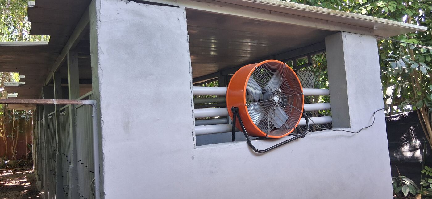 Commercial fan mounted at the kennel for continuous airflow