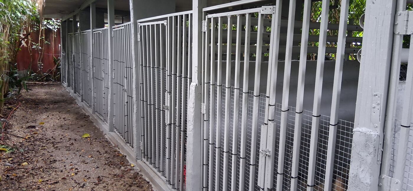 Row of individual kennel runs along the covered walkway